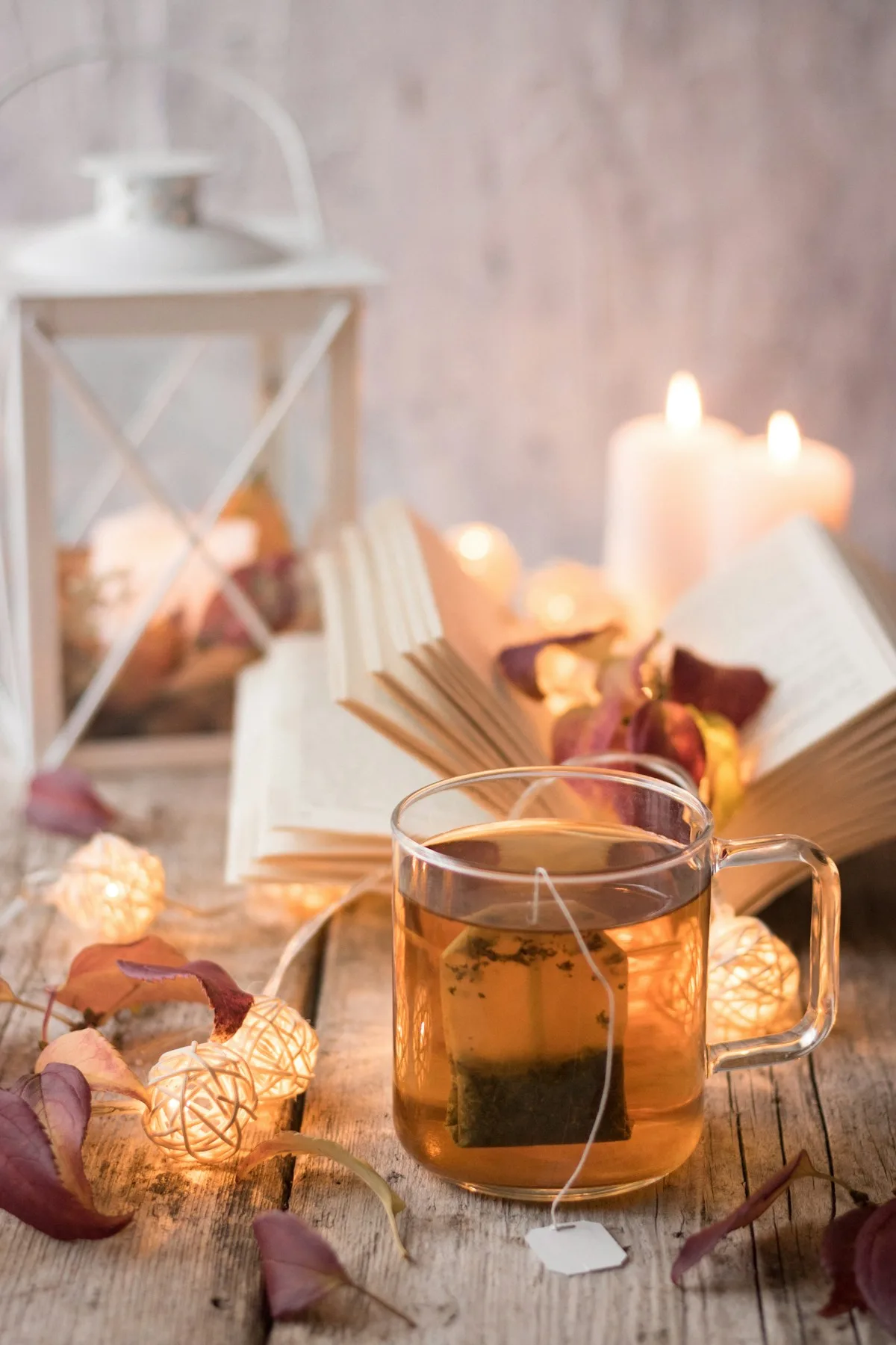 Lục Trà Cổ Thụ